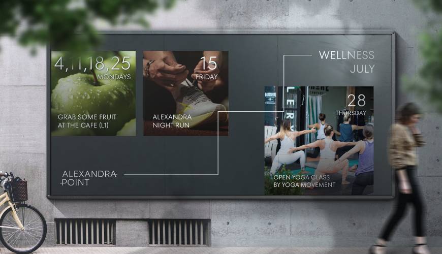 临桂区画册设计公司如何进行品牌审核