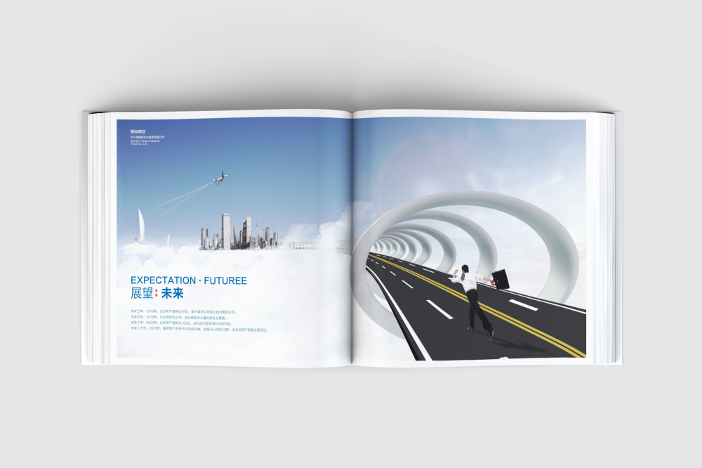 临桂区画册设计